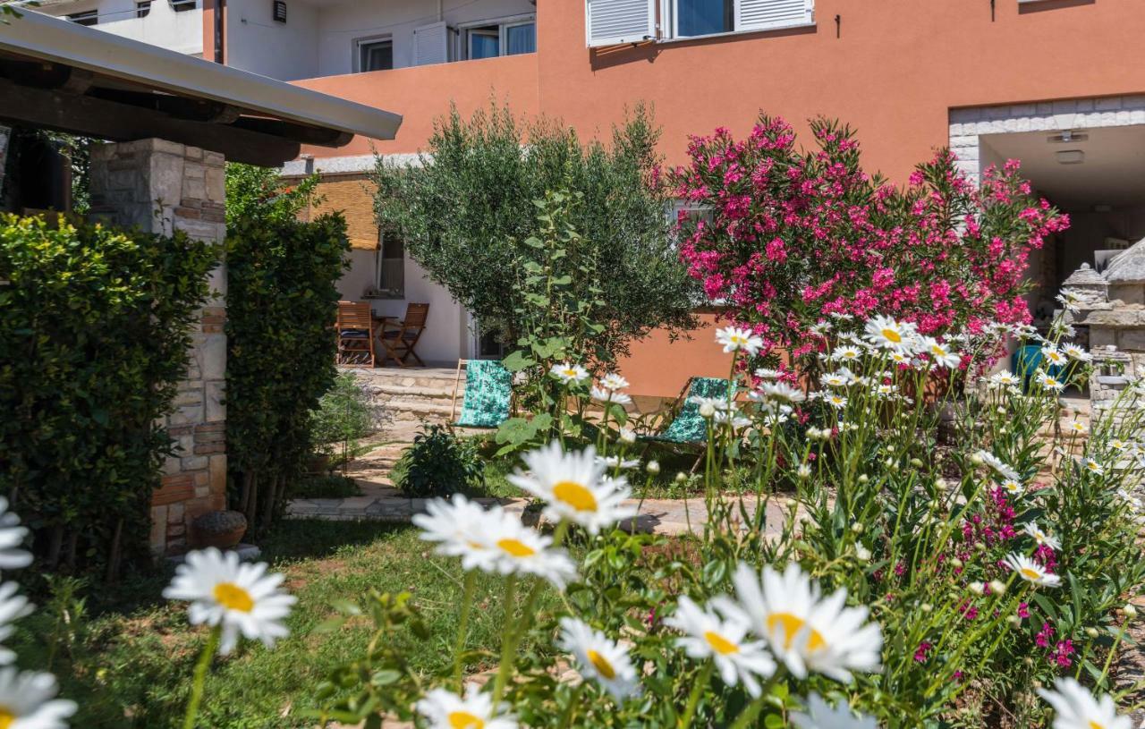 Istriamazing Apartments PUY 외부 사진